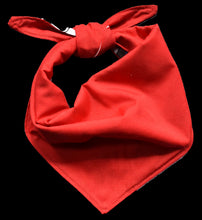 Pet Bandana - Pups in Sunnies