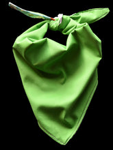 Pet Bandana - Golden Bone Pooch