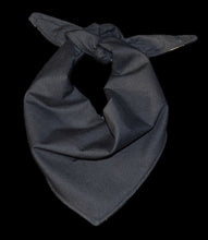 Pet Bandana - Golden Feathers