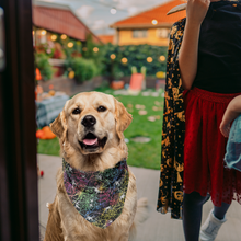 Pet Bandana -  To Cute to Spook - Halloween