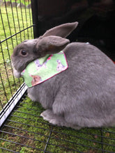 Pet Bandana -  Bunny Love