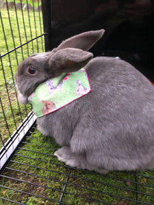 Pet Bandana -  Bunny Love