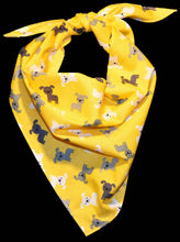 Pet Bandana - Marigold Pups