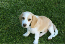 Pet Bandana -  Meg's Diamond