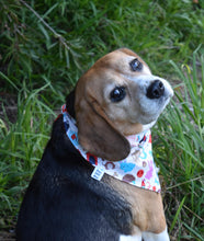 Pet Bandana - All Together Pets