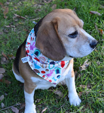 Pet Bandana - All Together Pets