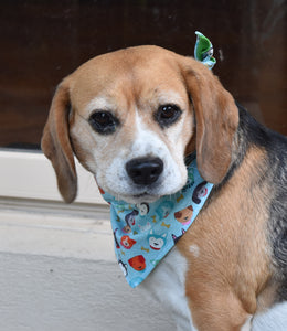 Pet Bandana - Golden Bone Pooch