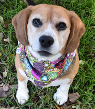 Pet Bandana - Donut Heaven