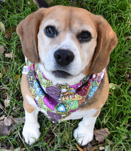 Pet Bandana - Donut Heaven