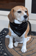 Pet Bandana - Glama Danna Black Panther