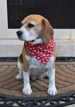 Pet Bandana -  Little White Pup on red