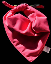 Pet Bandana - Izzy Rose