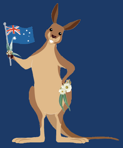 Aussie Collection - Face Masks