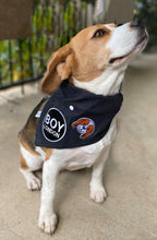 Pet Bandana - London Beagle Boy