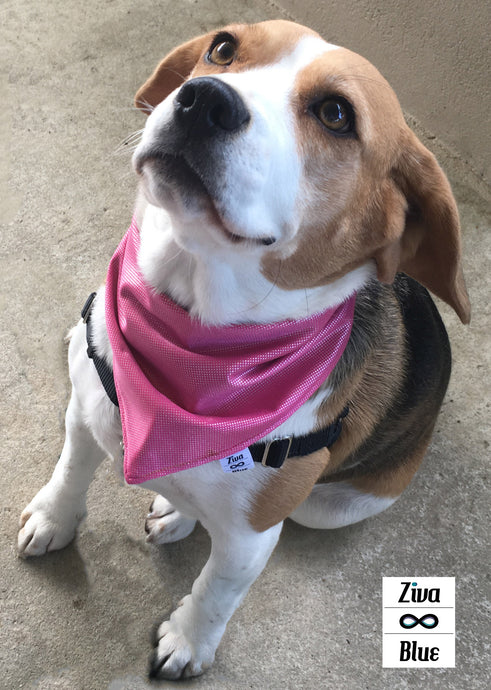 Pet Bandana - Glama Danna Shiny Pink Twinkles