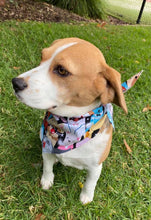 Pet Bandana - Puparazzi Pups