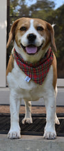 Pet Bandana - Tartan Lassie