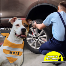 Pet Bandana - Tradie Patrol