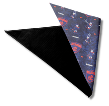 Pet Bandana - D's - Red and Blue