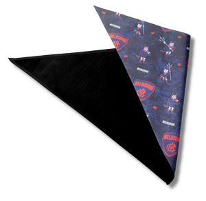 Pet Bandana - D's - Red and Blue