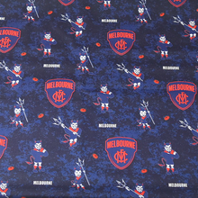 Pet Bandana - D's - Red and Blue