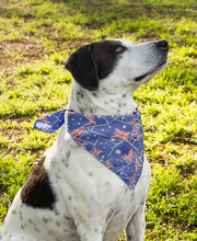 Pet Bandana - Aussie Spirit