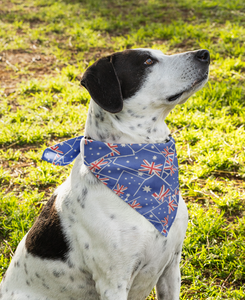 Pet Bandana - Aussie Spirit