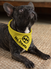 Pet Bandana - Stop, Slow & Go