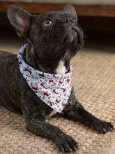 Pet Bandana - Santa's Gift