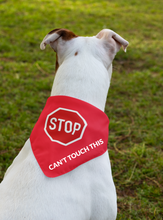 Pet Bandana - Stop, Slow & Go