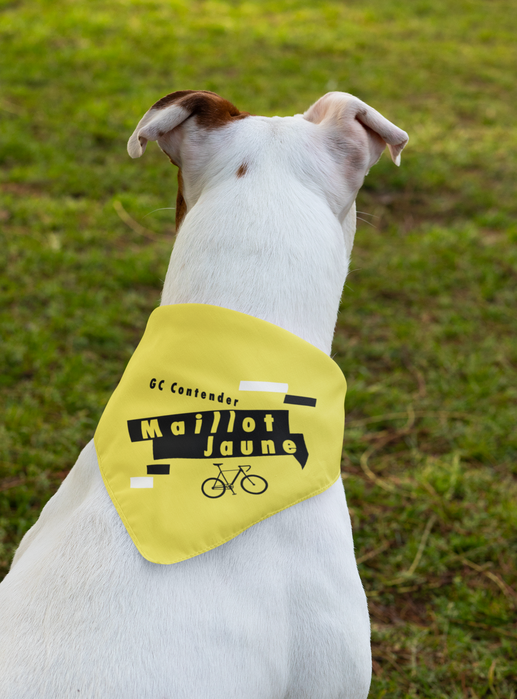Pet Bandana - Le Tour