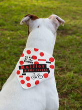 Pet Bandana - Le Tour