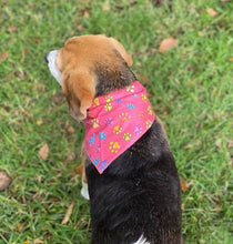 Pet Bandana - Multicoloured Paws on Pink