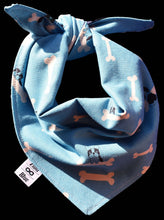 Pet Blanket - Nelson the Blue Frenchie