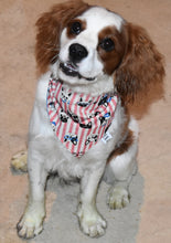 Pet Bandana - Walking the Dog