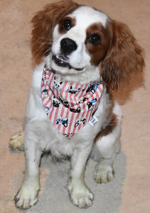 Pet Bandana - Walking the Dog