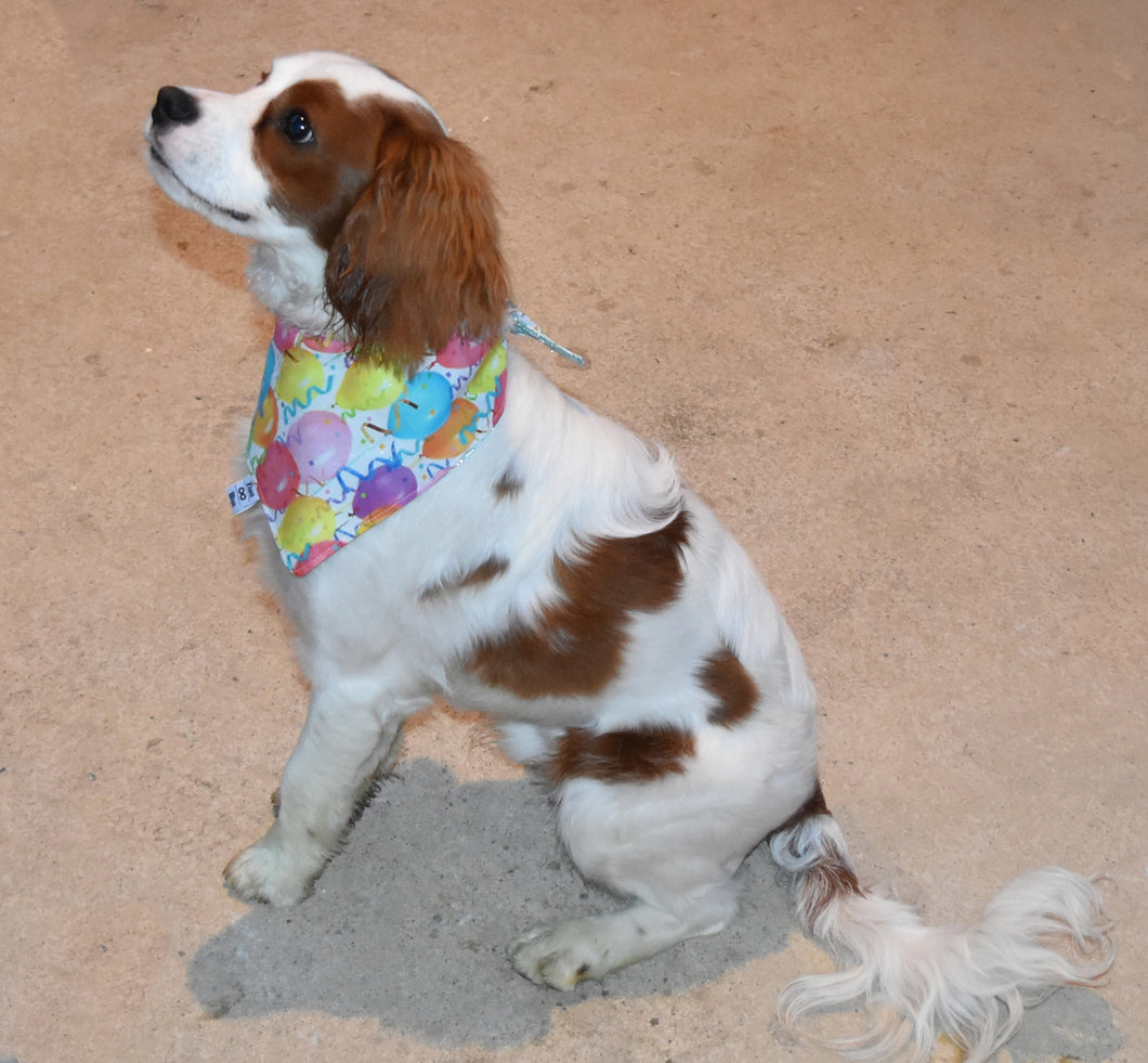 Pet Bandana -  Balloon Celebration
