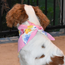 Pet Bandana -  Meg's Diamond