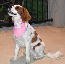 Pet Bandana -  Meg's Diamond