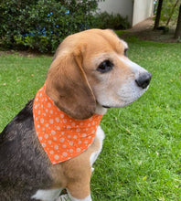 Pet Bandana -  Glow for it - Glow in the Dark