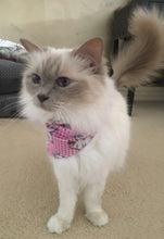 Pet Bandana - Cheeky Pussycat