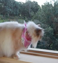 Pet Bandana - Princess Pebbles