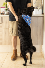 Pet Bandana - Aussie Spirit