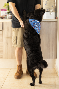 Pet Bandana - Aussie Spirit
