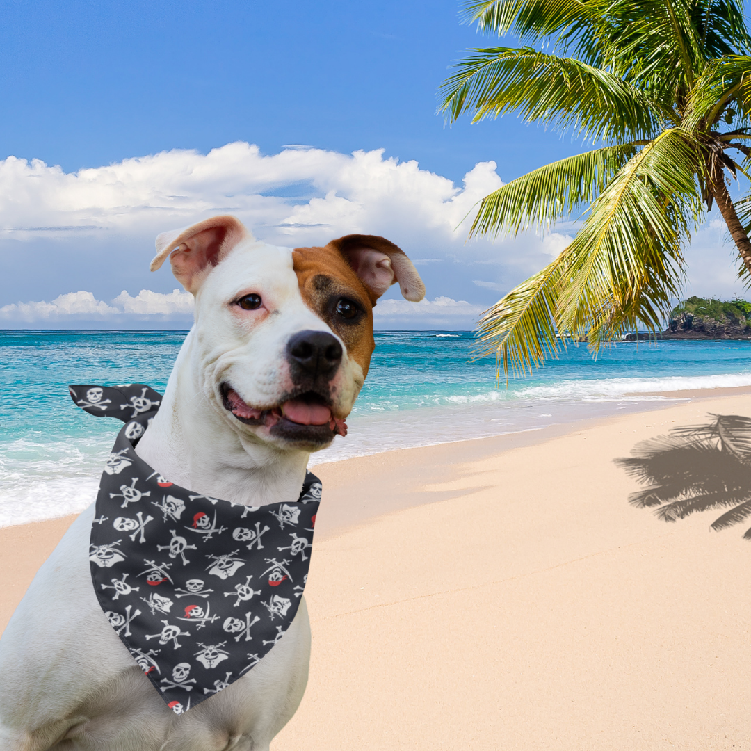 Pirate best sale dog bandana