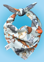 Pet Bandana - Pupz