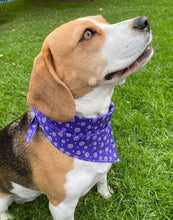 Pet Bandana -  Glow for it - Glow in the Dark