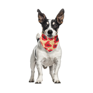 Pet Bandana - Anzac Red Poppy