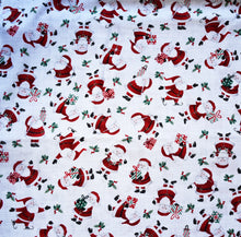 Pet Bandana - Santa's Gift