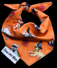 Pet Bandana -  To Cute to Spook - Halloween